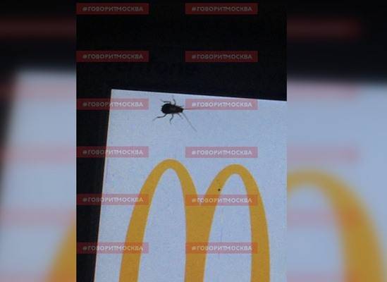 В московском «Макдоналдсе» увидели таракана
