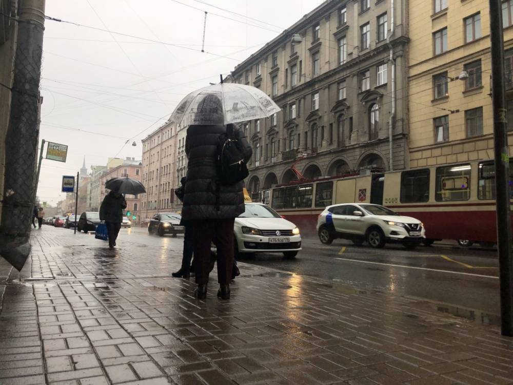 Воскресенье в Ленинградской области будет дождливым и с мокрым снегом