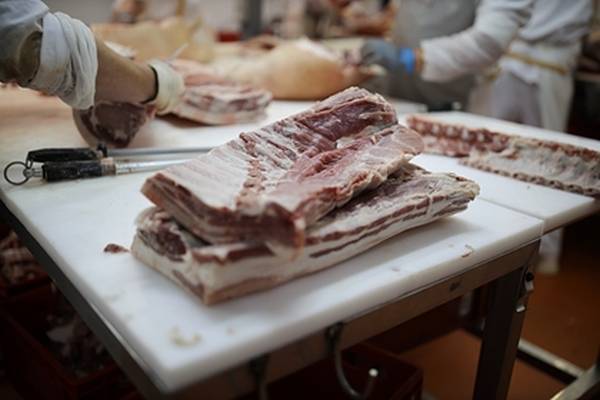 Школьников в Тольятти кормили мясом с трупным ядом