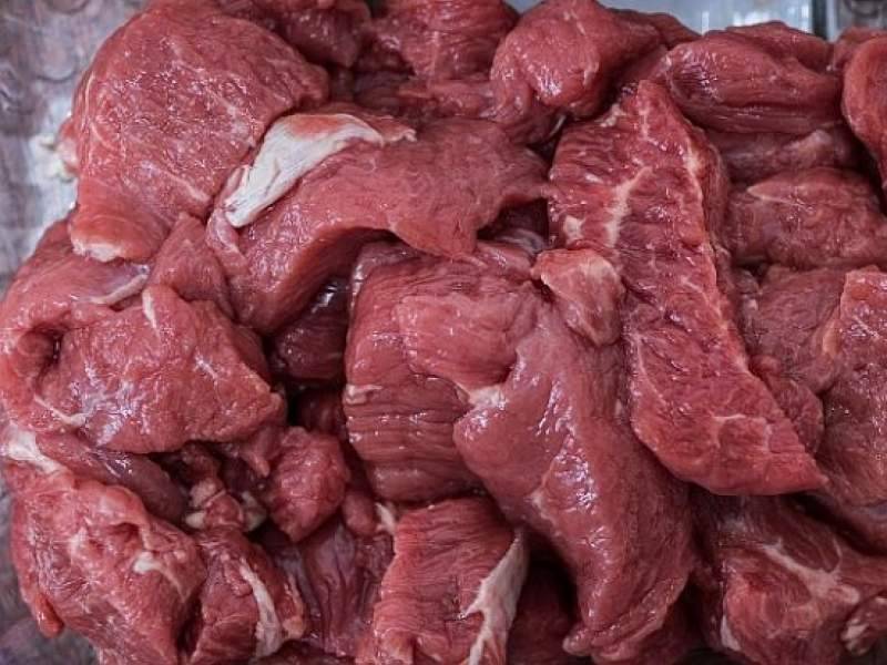 Тольяттинских детей кормили мясом с трупным ядом