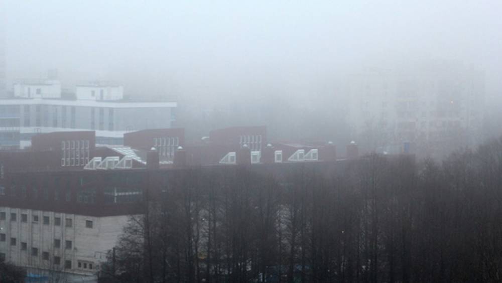 23 декабря Ленинградскую область накроет туман