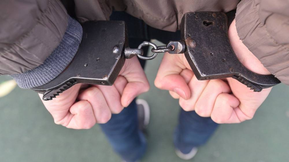 Полицейские задержали промышлявших в Пскове и в Куньинском районе дачных воров