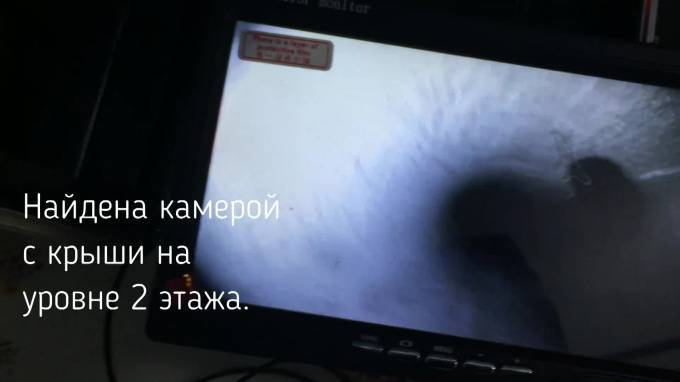 Домашнюю кошку два дня вызволяли из вентиляционной шахты в Петербурге