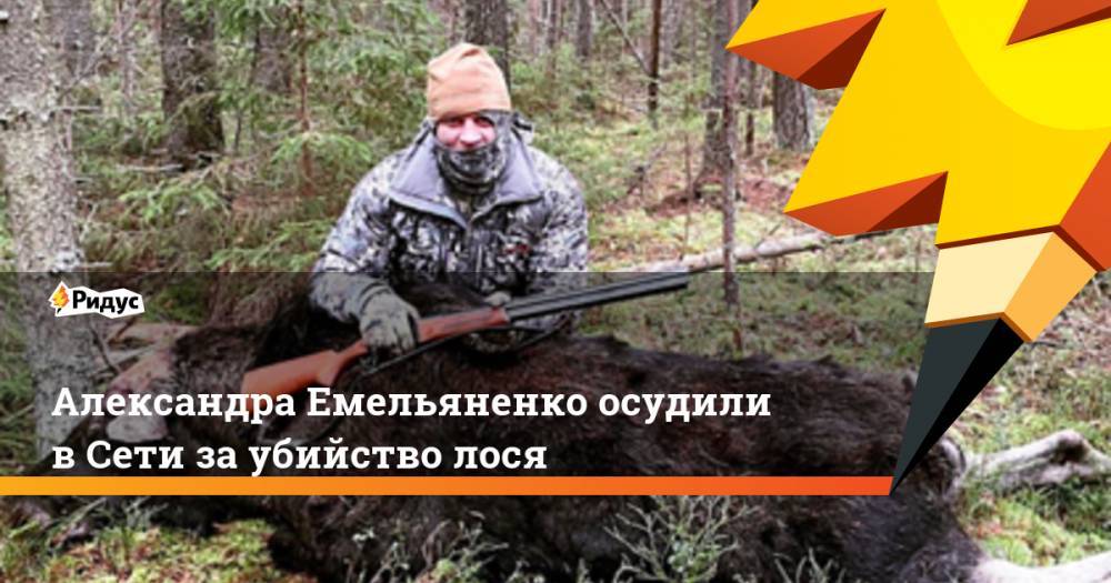 Александра Емельяненко осудили в Сети за убийство лося