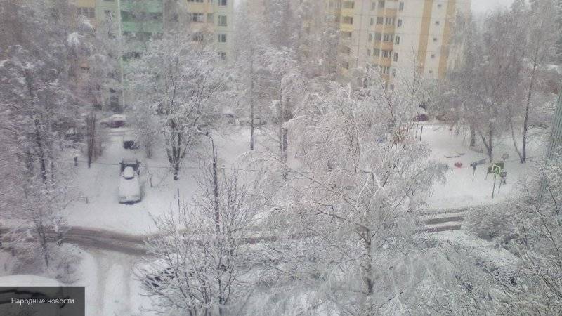 Специалист Гидрометцентра рассказала о погоде в России в последнюю неделю года