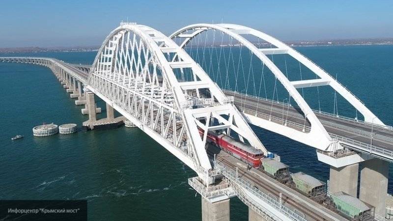 Кот по кличке Мостик "проверил" железнодорожную часть Крымского моста