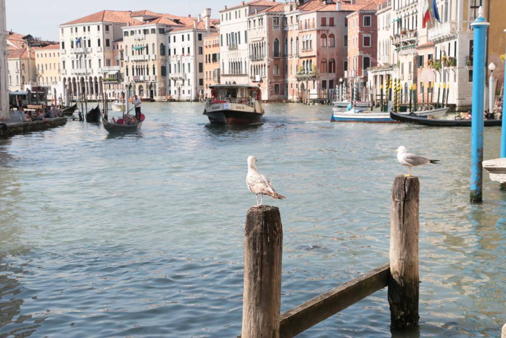 Власти Венеции предупредили о новом пике подъема воды