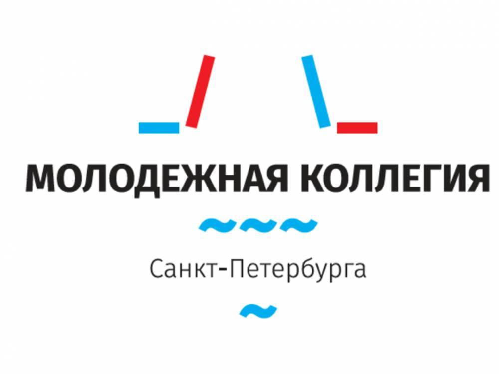 Отбор в «молодежное правительство Петербурга» продлили до середины января