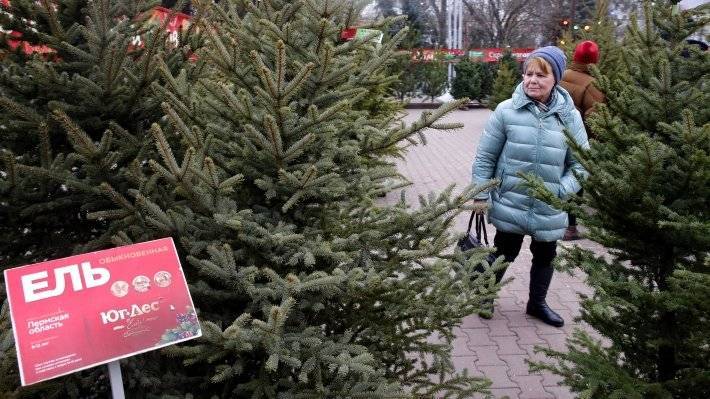 Эксперты Роспотребнадзора посоветовали, как выбрать новогоднюю елку