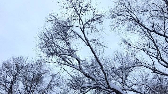 Гидрометцентр сообщает, что снег может выпасть в Москве в последние дни уходящего года