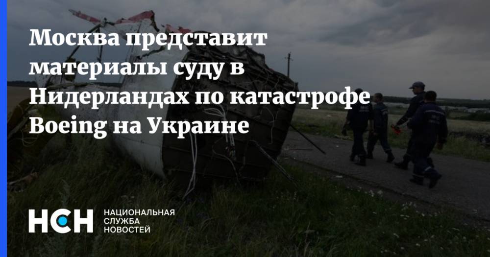 Москва представит материалы суду в Нидерландах по катастрофе Boeing на Украине