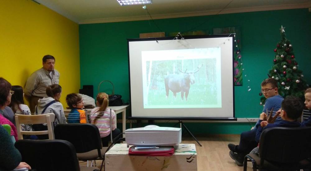«Заповедная школа» рассказала о зимующих в Петербурге диких животных