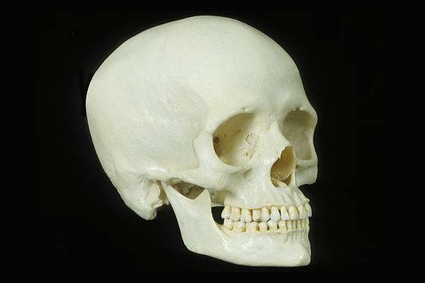 У москвички с «мусорным расстройством» нашли дома скелет человека