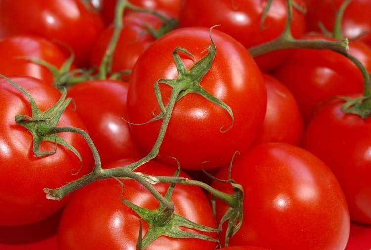 Ученые вывели новый сорт томатов, которые растут букетом
