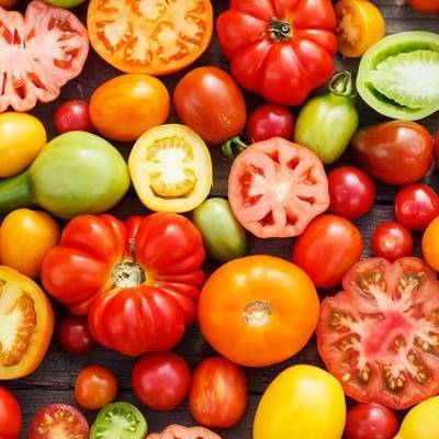 Ученые создали генетически модифицированные томаты для горожан