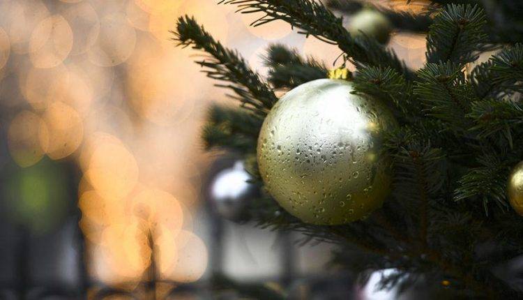 «Транспортную» новогоднюю елку установили у станции МЦК «Лужники»