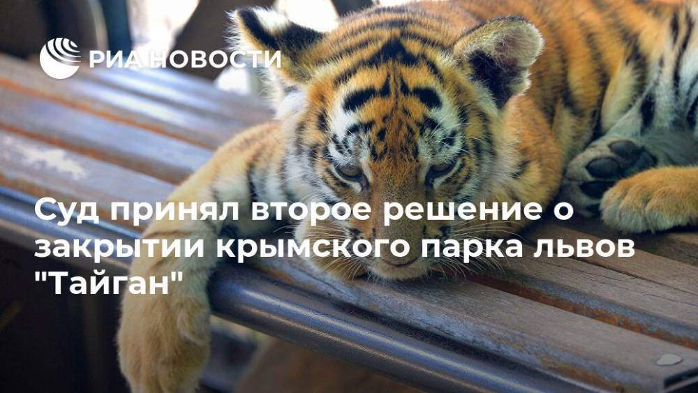 Суд принял второе решение о закрытии крымского парка львов "Тайган"