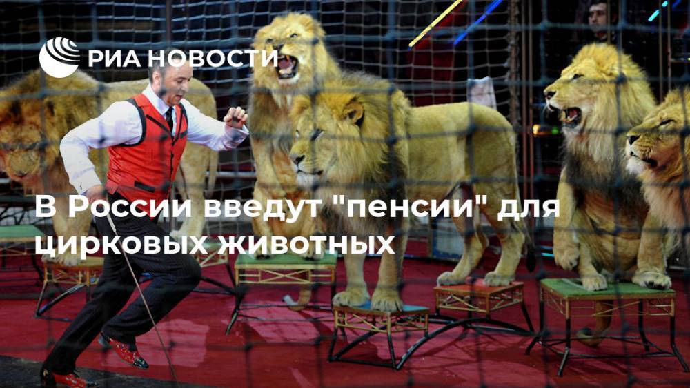 В России введут "пенсии" для цирковых животных