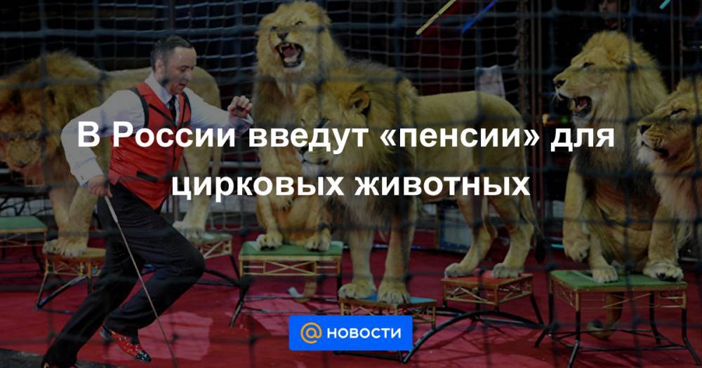 В России введут «пенсии» для цирковых животных