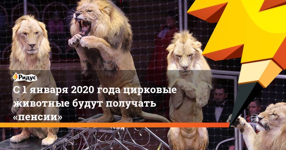С 1 января2020 года цирковые животные будут получать «пенсии»
