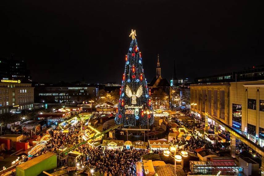 В Германии ищут альтернативу рождественской елке - abcnews.com.ua - Грузия - Германия