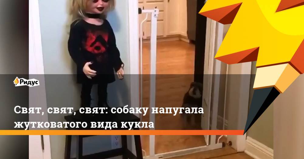 Свят, свят, свят: собаку напугала жутковатого вида кукла