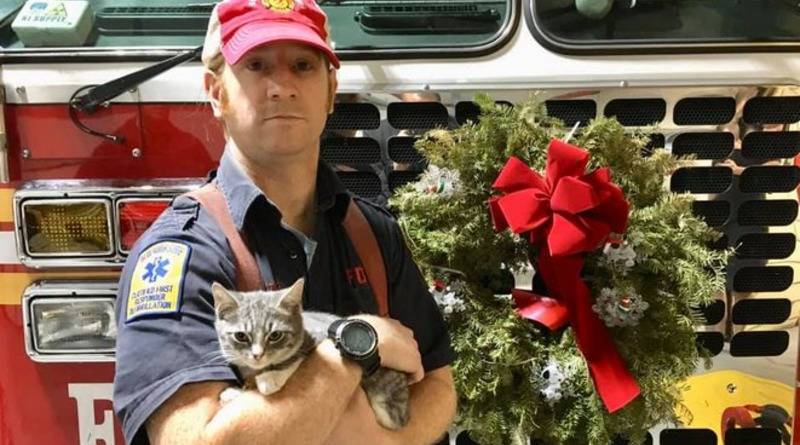 Пожарный из Нью-Йорка Дэниел Вивчар спас жизнь котенку – и решил «усыновить» его (фото)