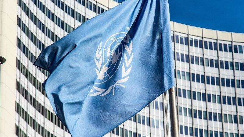 Милонов убежден, что глава ООН вступился за боевиков в Сирии по указке Госдепа