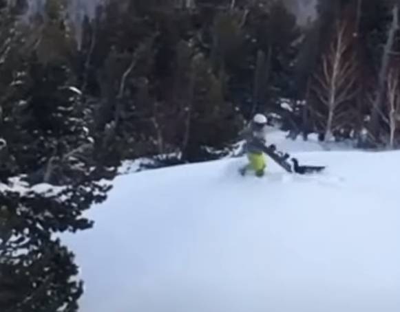 Нападение глухаря на сноубордиста в Шерегеше сняли на видео