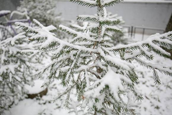 Уральские синоптики дали прогноз погоды на новогоднюю ночь