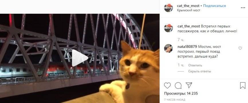 Кот Мостик показал видео, как лично встречал первый поезд на Крымском мосту