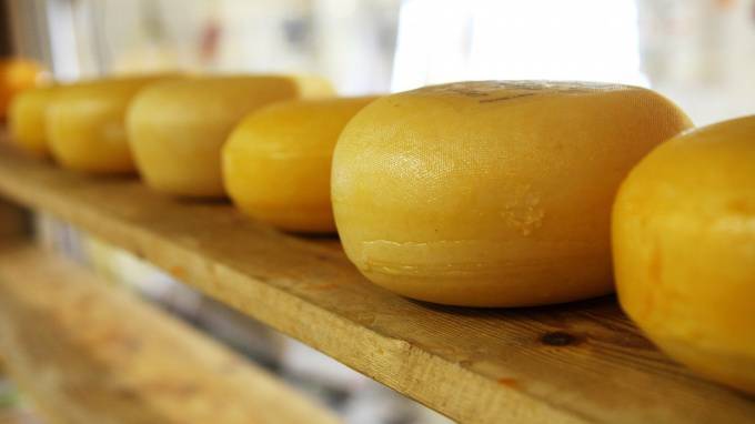 Шесть тонн швейцарского сыра задержали на подъезде к Петербургу