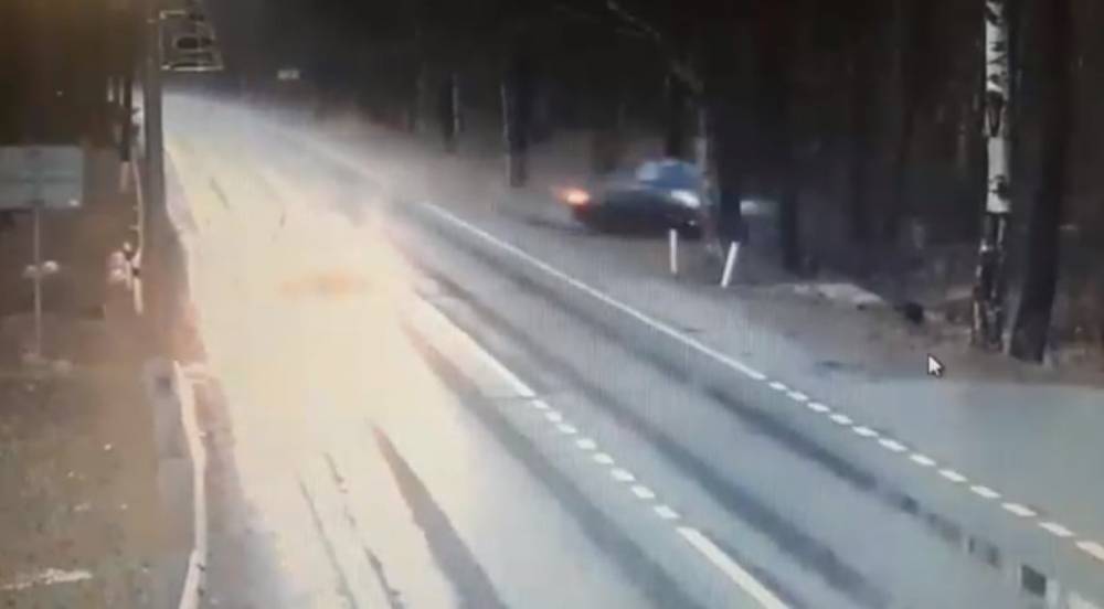 Момент смертельного столкновения авто с деревом в Комарово попал на видео