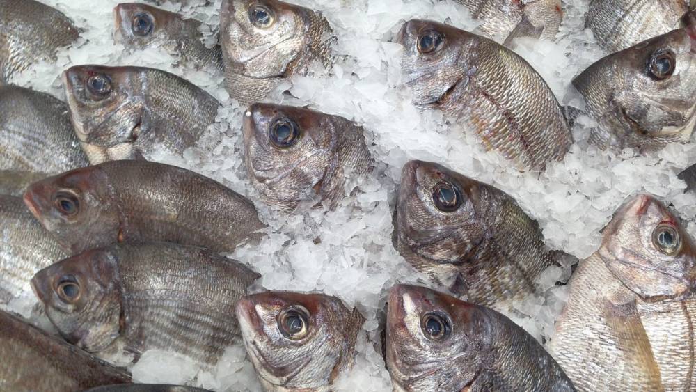 В Калининграде проверят уличных торговцев рыбой