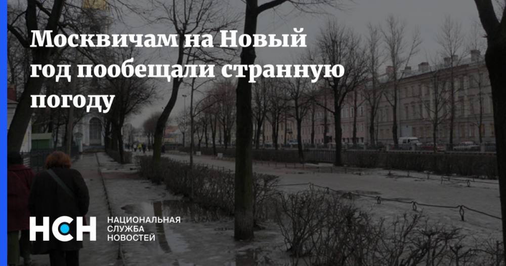 Москвичам на Новый год пообещали странную погоду
