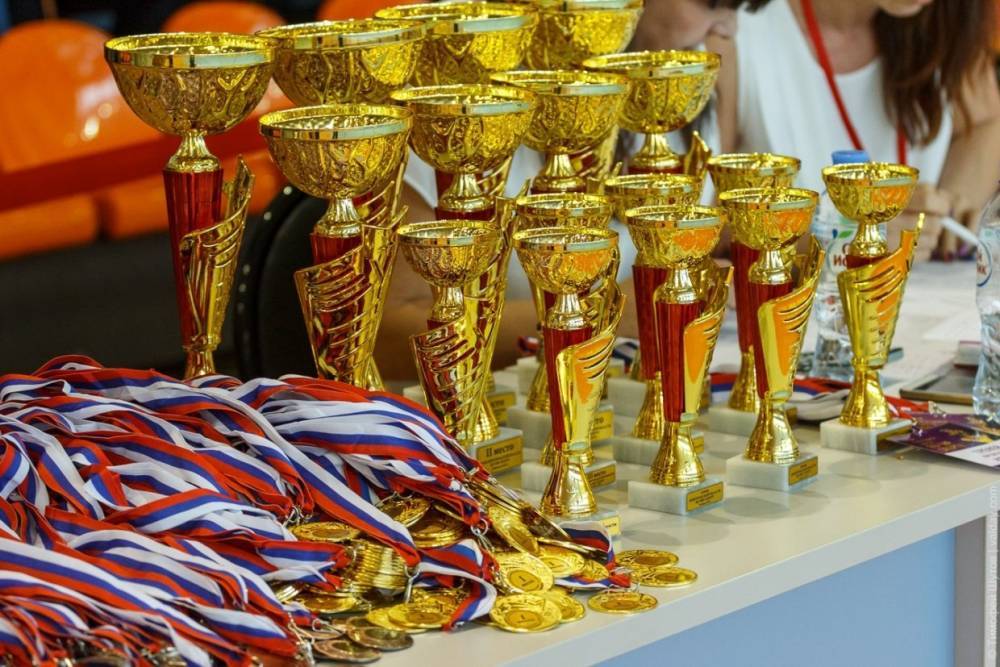 За сезон новгородские спортсмены завоевали более 500 медалей
