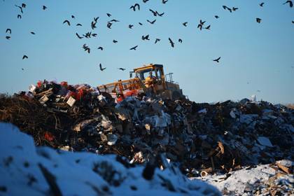 Оценена потребность россиян в мусоросжигательных заводах