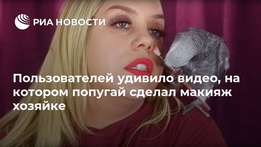 Пользователей удивило видео, на котором попугай сделал макияж хозяйке