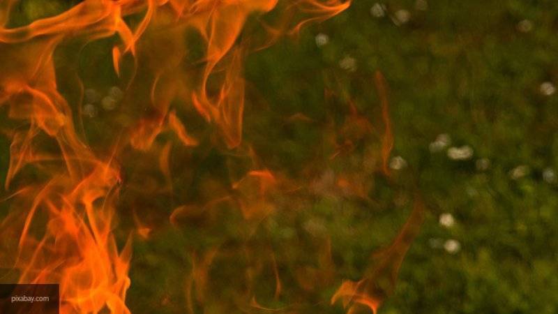 Пламя охватило 20 гектаров лесного массива под Сочи
