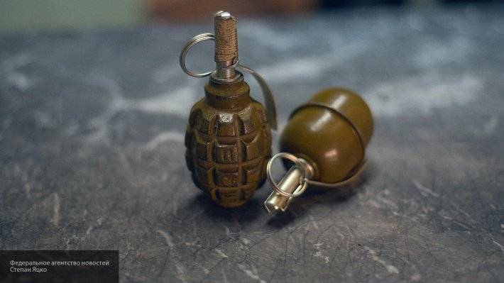 Полиция в Москве обнаружила в квартире писателя-фантаста похожие на гранаты предметы