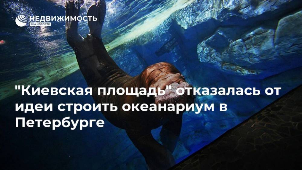 "Киевская площадь" отказалась от идеи строить океанариум в Петербурге