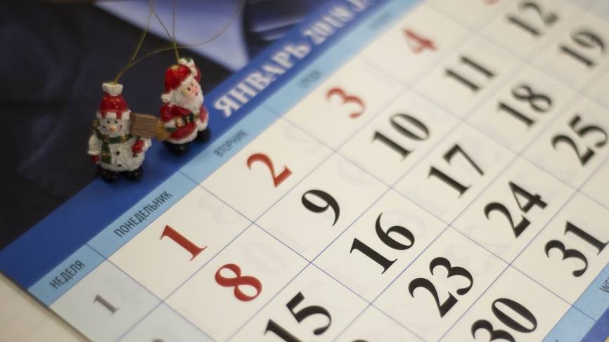 Глава СПЧ раскритиковал идею сделать 31 декабря выходным