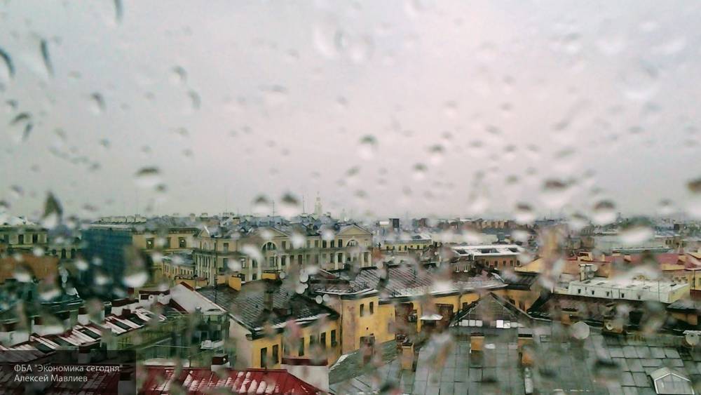 В Санкт-Петербурге ожидается мокрый снег