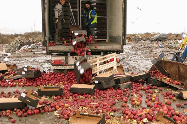 «Совпадение? Не думаю»: в Калининграде уничтожили 20 тонн яблок из Польши