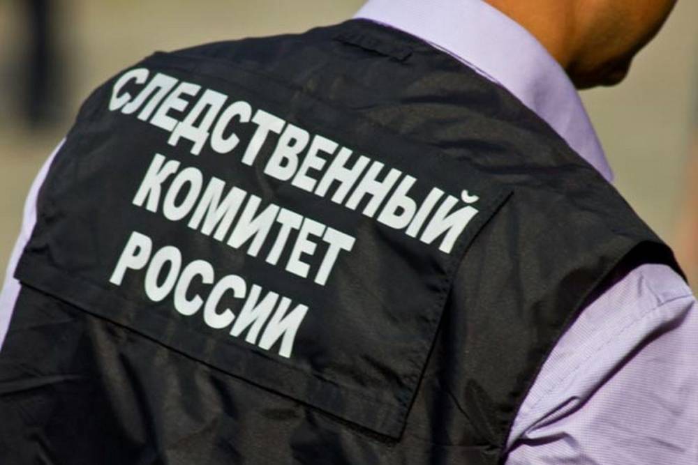 СК подтвердил проведение обысков у корреспондента «Новой газеты»