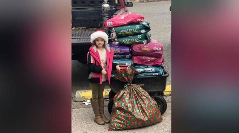 8-летняя девочка на Рождество отказалась от игрушек, чтобы купить корм для бездомных животных