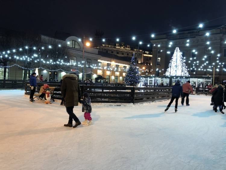 Новые ледовые арены появятся в двух районах Петербурга в следующем году