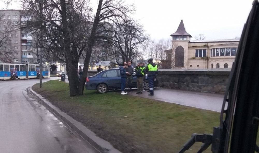В Калининграде машина застряла между деревом и набережной