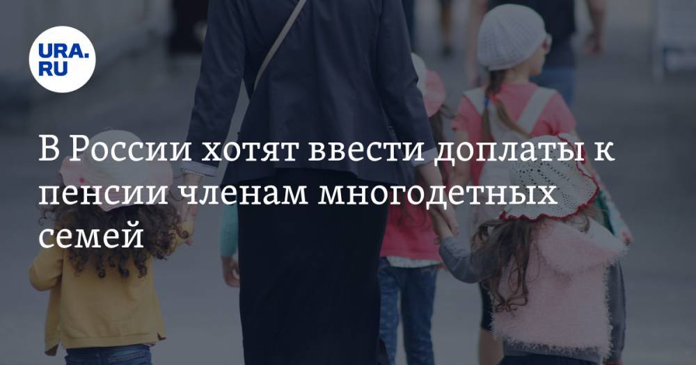 В России хотят ввести доплаты к пенсии членам многодетных семей