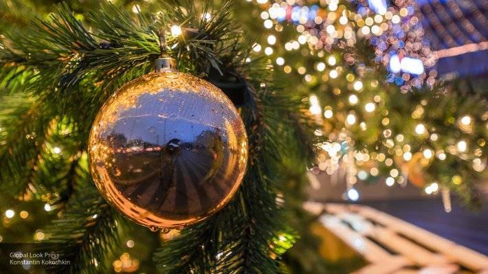 Торжественное открытие новогодней елки прошло в Сыктывкаре
